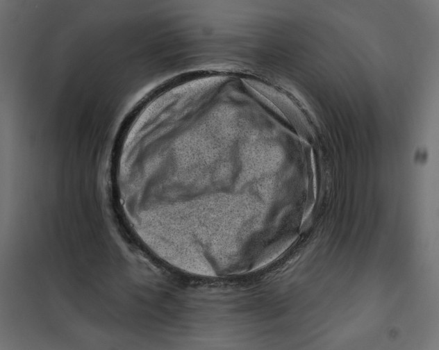 X0000102010532200808081726