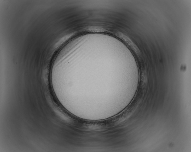 X0000102010533200808081726