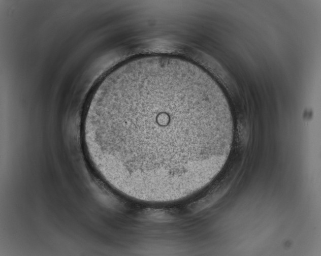 X0000102010534200808081726