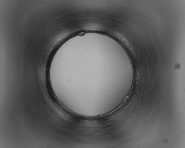 X0000102010535200808081726