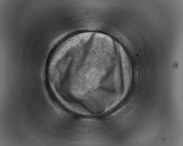 X0000102010536200808081727