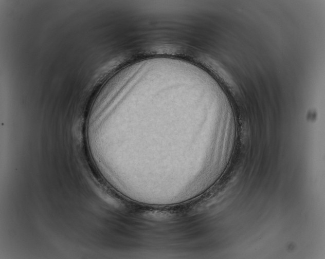 X0000102010537200808081727