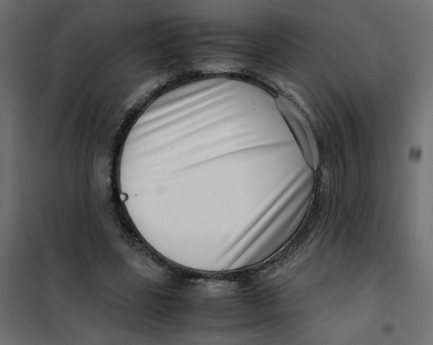 X0000102010539200808081727