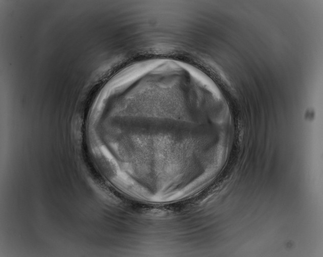 X0000102010542200808081727