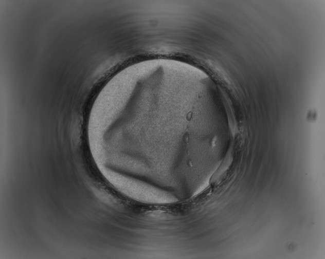 X0000102010544200808081727