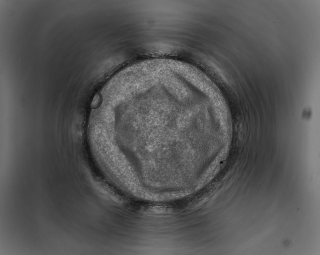 X0000102010546200808081727