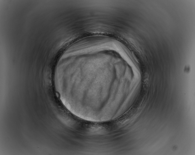 X0000102010547200808081727