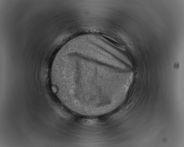 X0000102010548200808081727