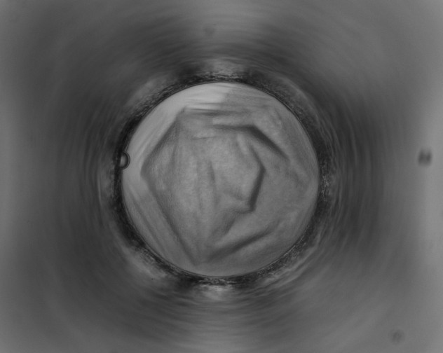 X0000102010552200808081727