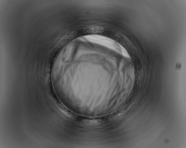 X0000102010553200808081727