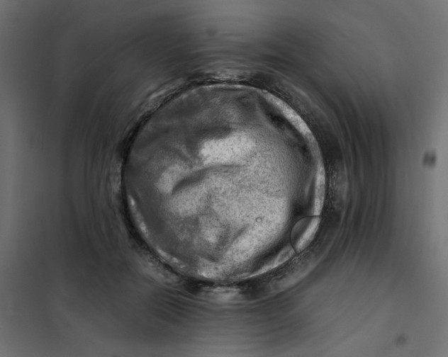 X0000102010554200808081727