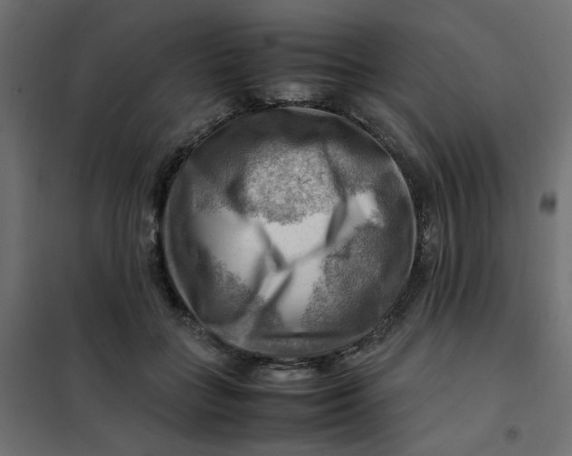 X0000102010555200808081727