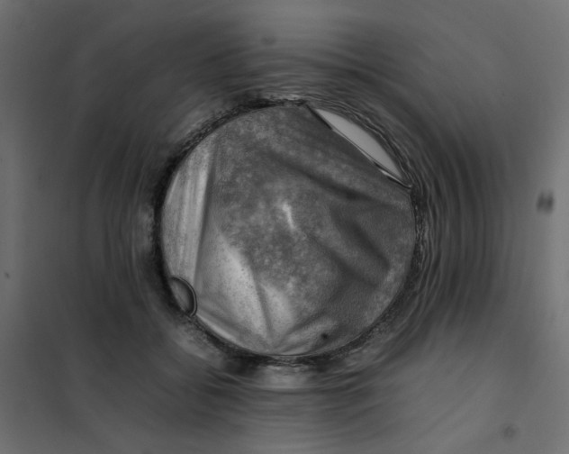 X0000102010556200808081727