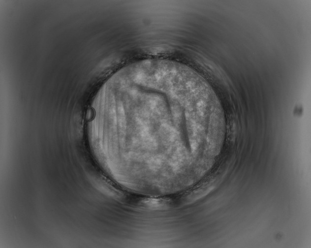 X0000102010558200808081727