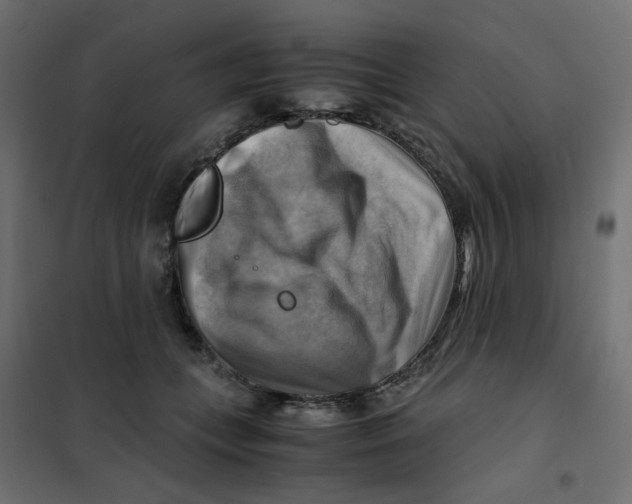 X0000102010559200808081727