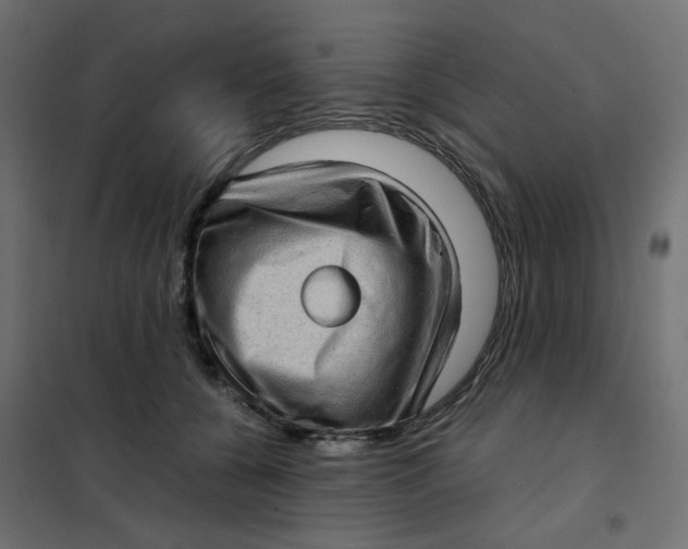 X0000102010560200808081727