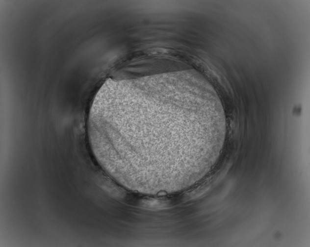 X0000102010561200808081727