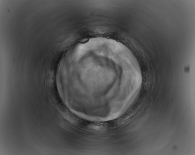 X0000102010563200808081727