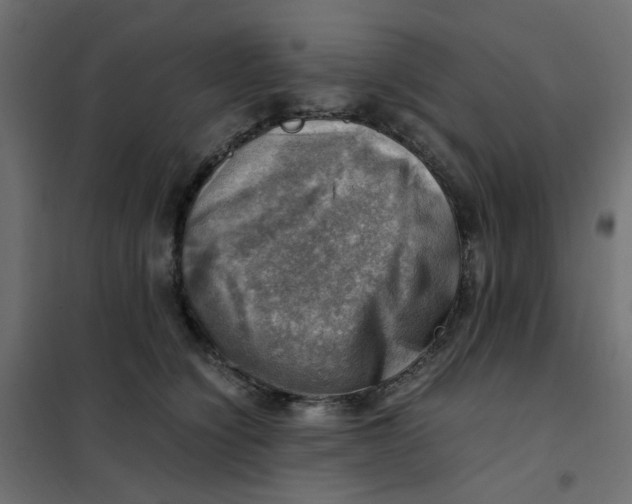 X0000102010564200808081727