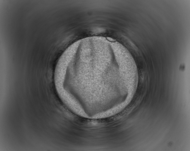 X0000102010565200808081727