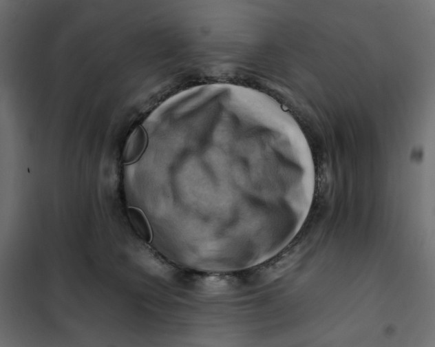 X0000102010566200808081727