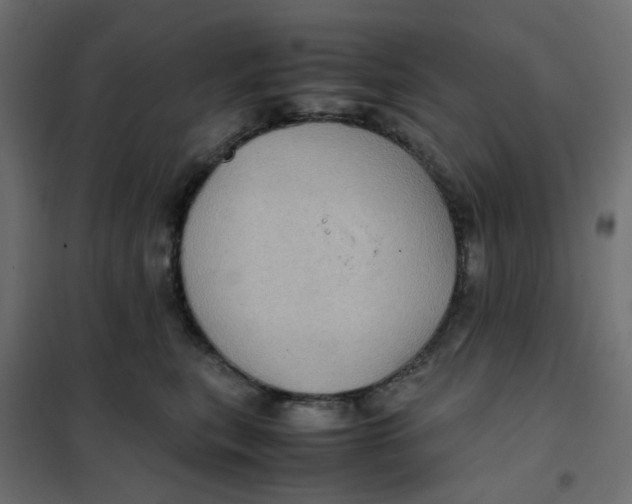 X0000102010567200808081727