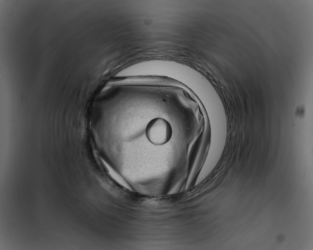 X0000102010568200808081727