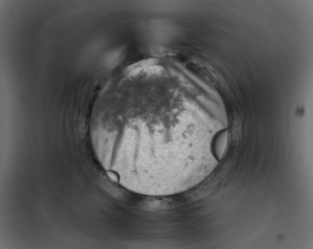 X0000102010569200808081727