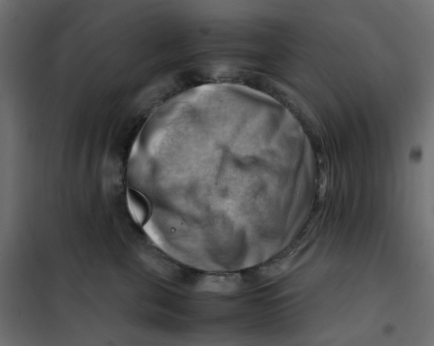 X0000102010571200808081727