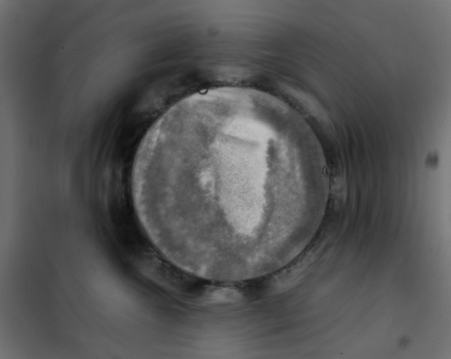 X0000102010572200808081727