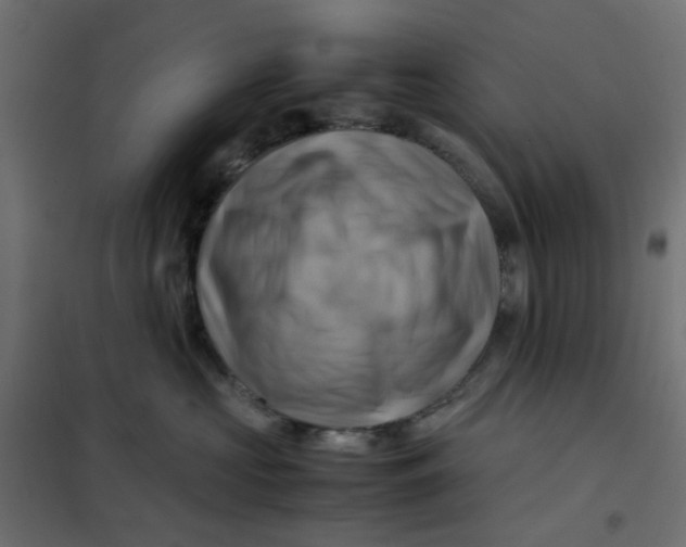 X0000102010573200808081727