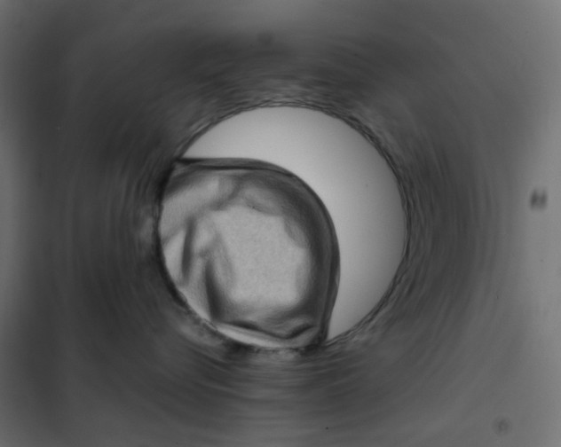 X0000102010576200808081727