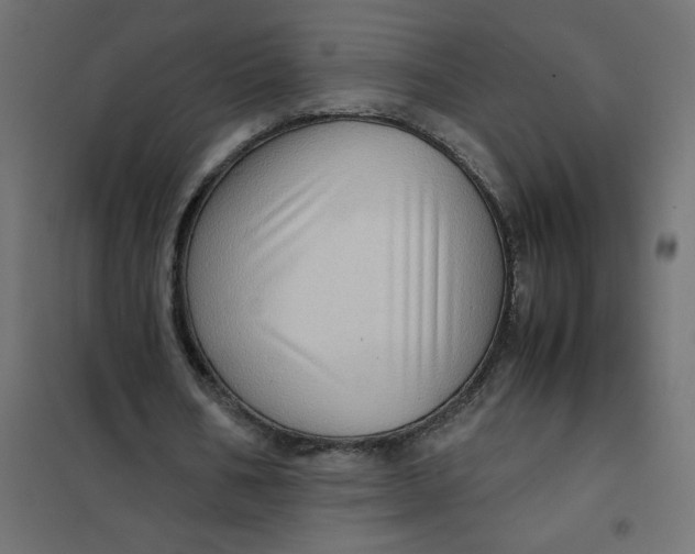 X0000102010578200808081726