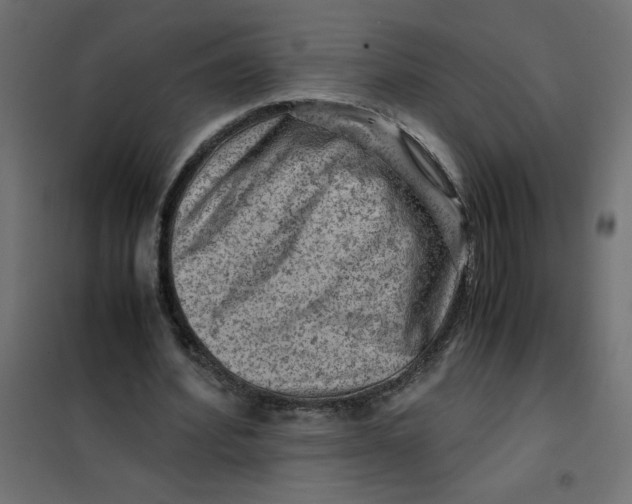 X0000102010580200808081726