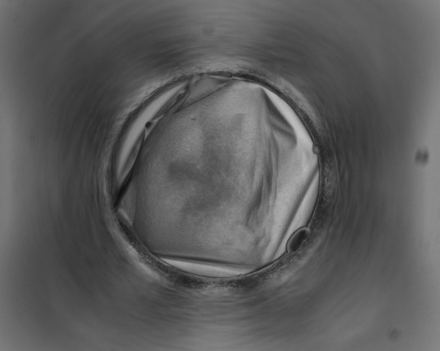 X0000102010581200808081726