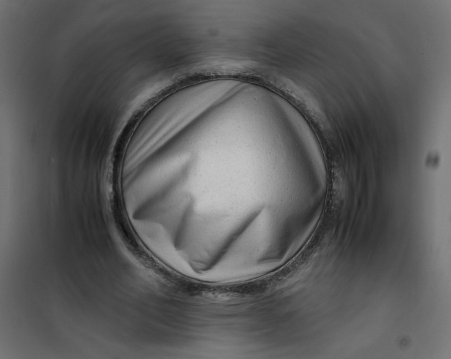 X0000102010582200808081726