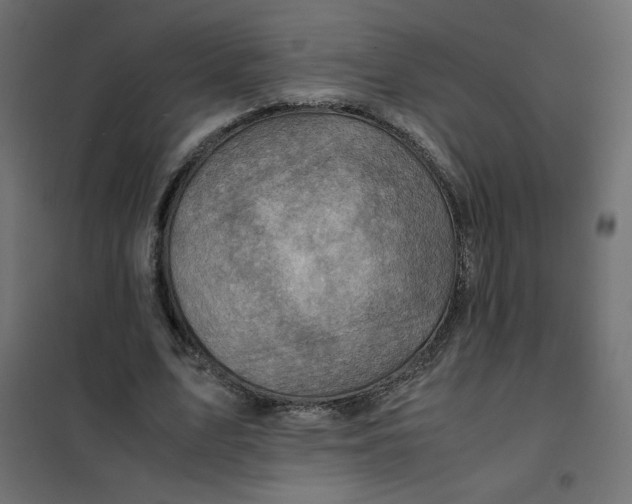 X0000102010583200808081726