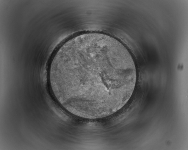 X0000102010584200808081726