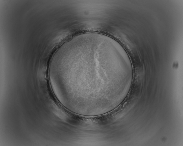 X0000102010585200808081726