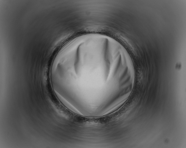 X0000102010586200808081726