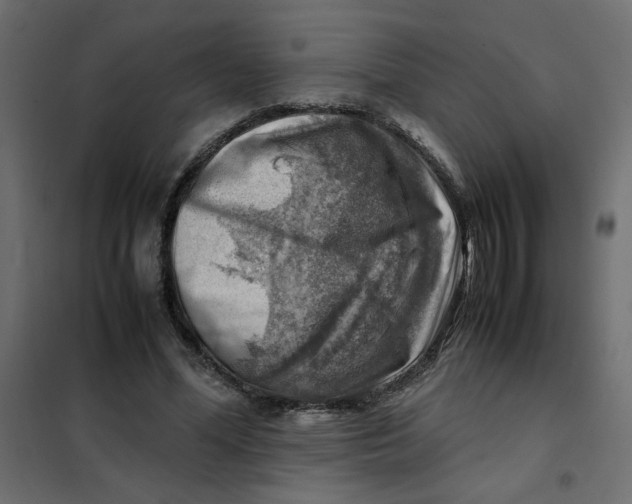 X0000102010588200808081726