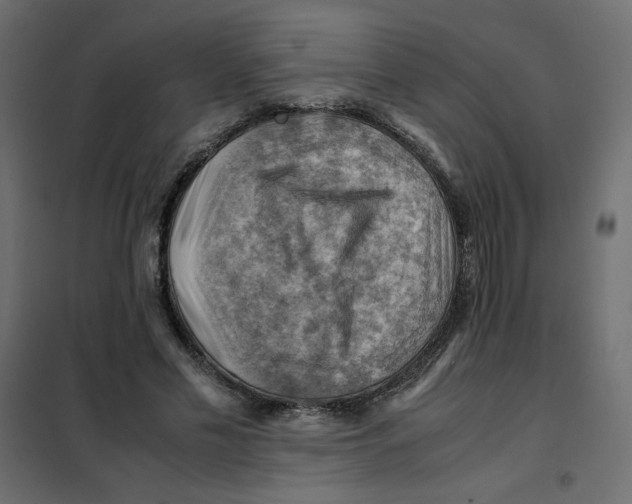 X0000102010589200808081726