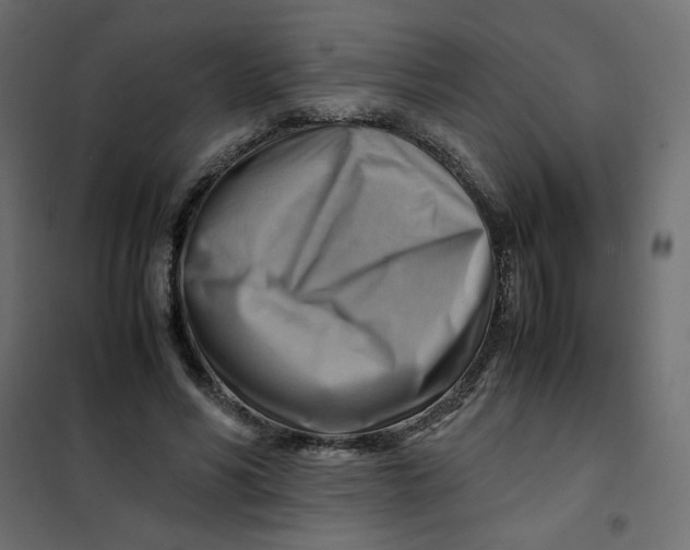 X0000102010590200808081726