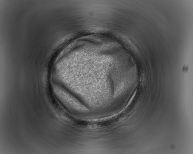 X0000102010591200808081726