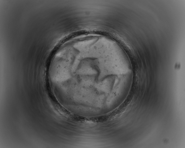 X0000102010592200808081726