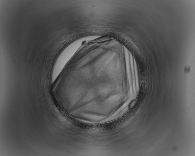 X0000102010593200808081726