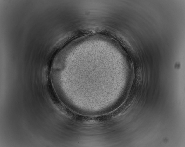 X0000102010594200808081726