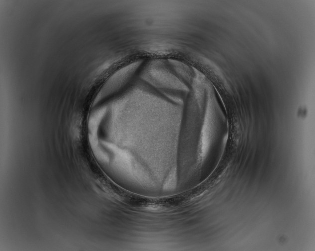 X0000102010596200808081726