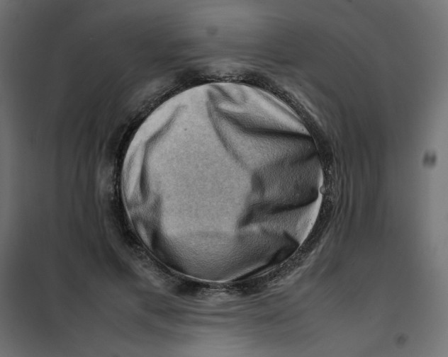 X0000102010597200808081726