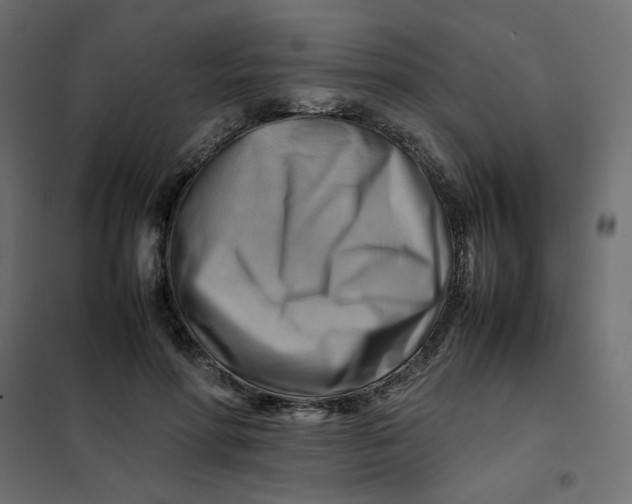 X0000102010598200808081726